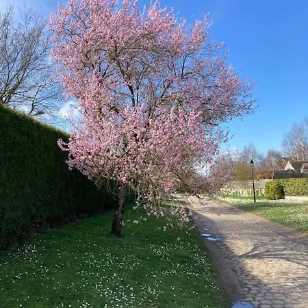 Vakantiehuis La Cour Verte : Chaleureuse Grange Rehabilitee Montépilloy
