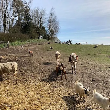 La Cour Verte : Chaleureuse Grange Rehabilitee Montépilloy
