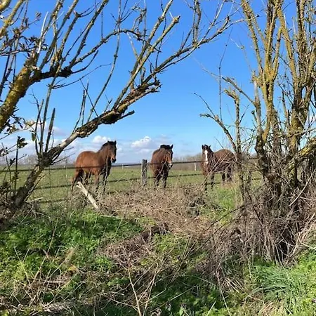 Vakantiehuis La Cour Verte : Chaleureuse Grange Rehabilitee *